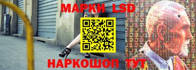 прущие грибы Кандалакша