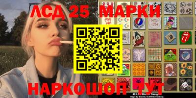 прущие грибы Кандалакша