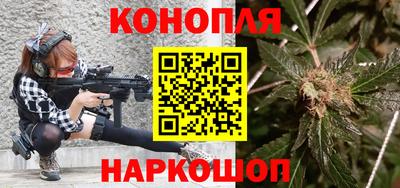прущие грибы Кандалакша
