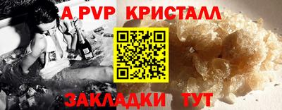 спиды Гагарин