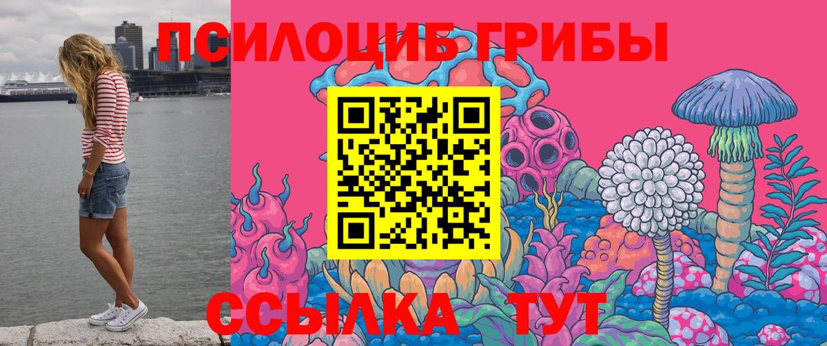 Псилоцибиновые грибы Psilocybine cubensis Шебекино